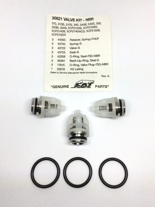 Клапани Kit valve 30821 CAT Pumps